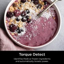 Detect Duo Power 72 Oz. 10 Speed Black Pro Blender, Single Serve Traditional Blender with Blend Sense Technology