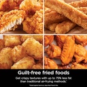 5 Qt. Black Stainless Steel Air Fryer Pro with Air Fry Roast Reheat and Dehydrate