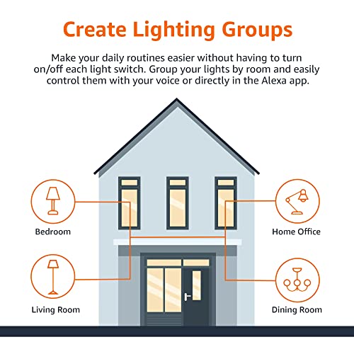 Amazon Basics - Smart A19 LED Light Bulb, 2.4 GHz Wi-Fi, 9W (Equivalent to 60W) 800LM, Works with Alexa Only, 1-Pack, Multicolor