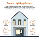 Amazon Basics - Smart A19 LED Light Bulb, 2.4 GHz Wi-Fi, 9W (Equivalent to 60W) 800LM, Works with Alexa Only, 1-Pack, Multicolor
