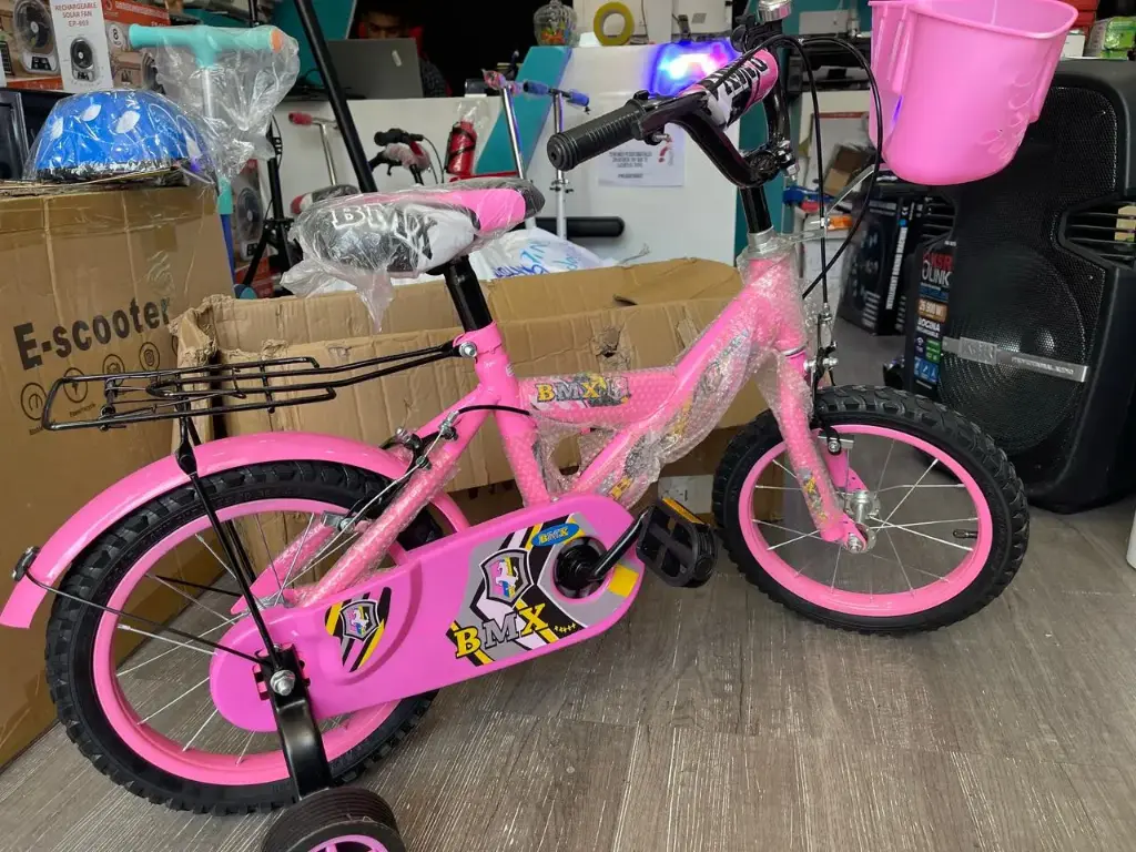 Bicicleta Para Niñas con canasta y termo BMX k-14